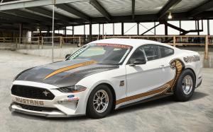 Ford Mustang Cobra Jet 50th Anniversary 2018 года